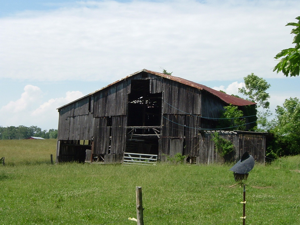 Greeneville, TN: an old unused barn falling in shambles