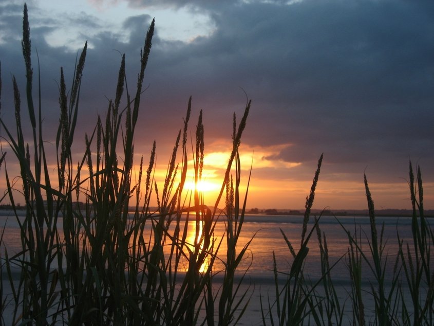 Ocean Isle Beach, NC: Evening Seagrass Tubbs Inlet - OIB