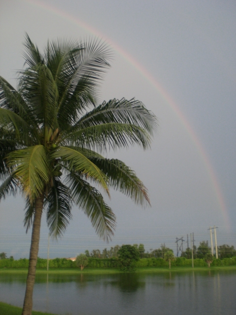 Pembroke Pines, FL: Rainbow over Pembroke Pines