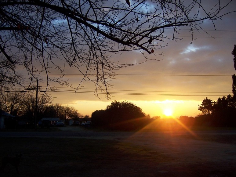 Riverdale, CA : Sunrise from the front yard-