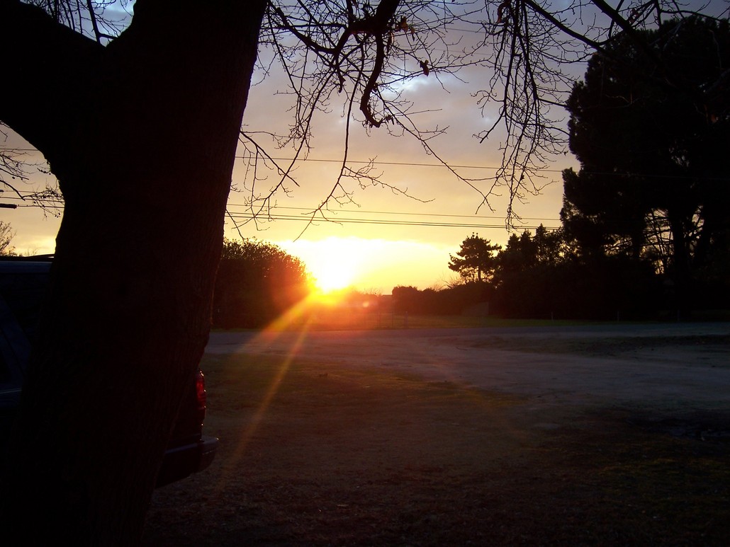 Riverdale, CA : Sunrise from the front yard II-