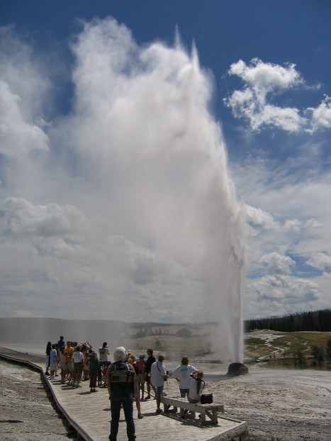 Yellowstone National Park Wy Honeycomb Geyser Photo Picture Image