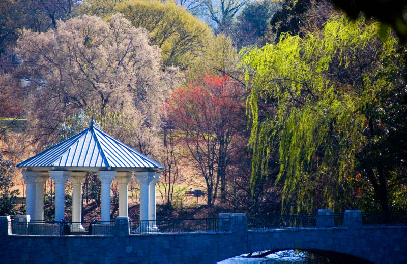 Atlanta, GA: Piedmont Park in early spring