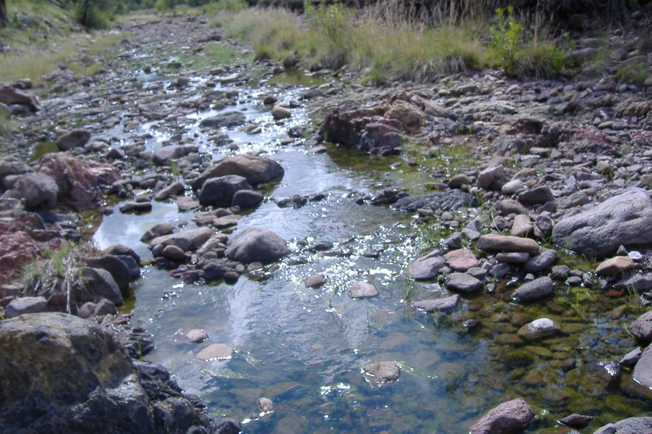 Alpine, TX Creek down in the Davis Mountains photo, picture, image