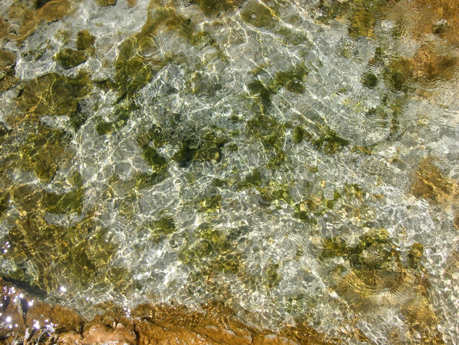 Warm Springs-Truckee Canyon, NV : Warm Spring