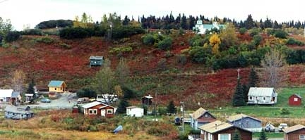 Ninilchik, AK : Ninilchik Village