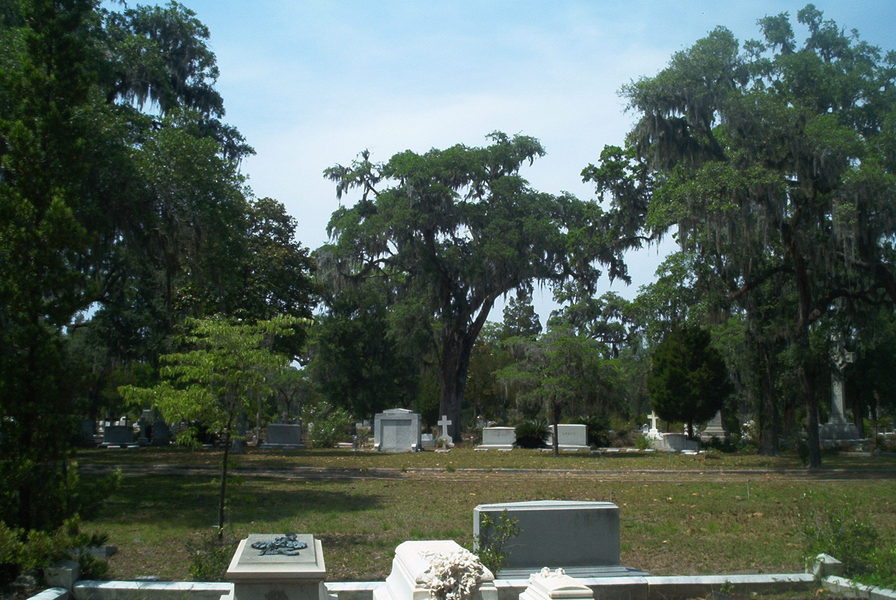 Savannah, GA: bonaventure cemetery