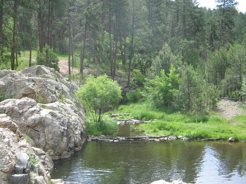 Keystone Sd Small Pond In Black Hills Photo Picture Image South