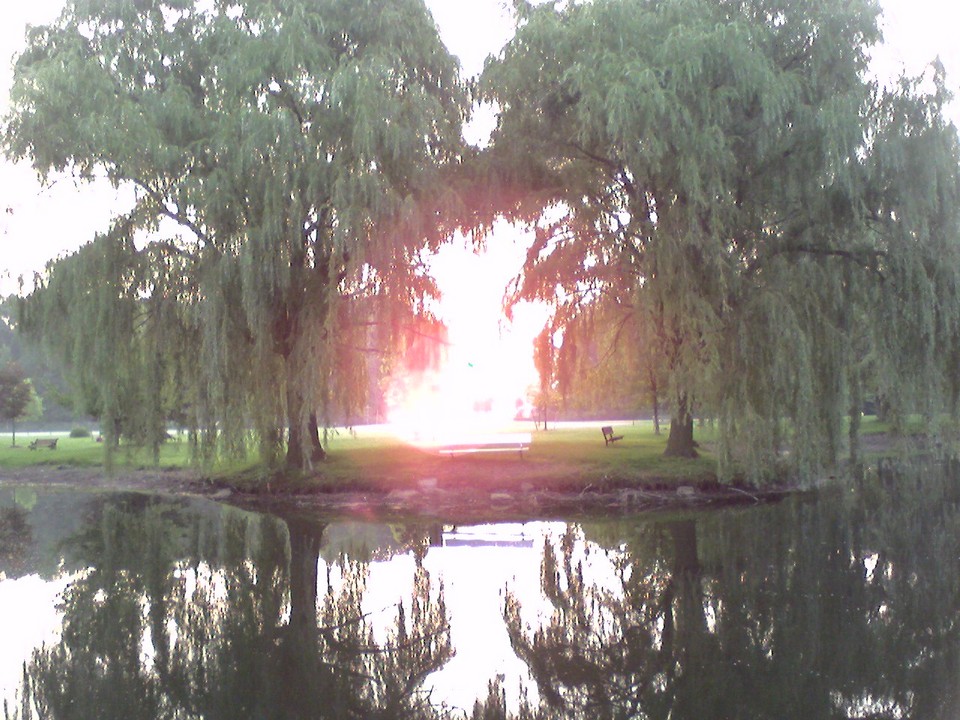 Westland, MI: Morning at Friendship Lake