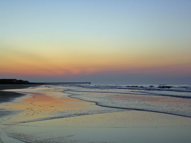 Isle of Palms, SC : Flowers