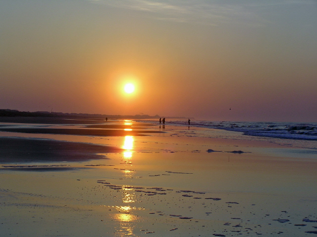 Isle of Palms, SC : Flowers
