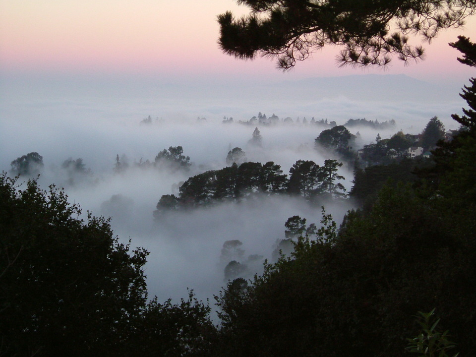 Oakland, CA: Fog from the Oakland Hills