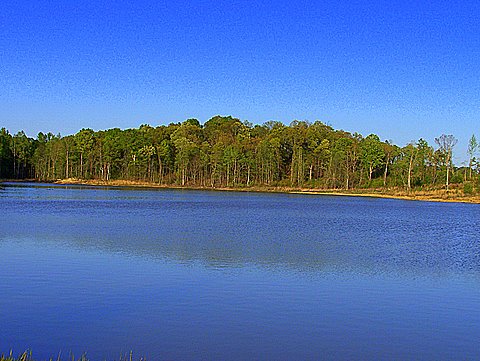 Centre, AL : Private Lake in Raintree Community in Centre