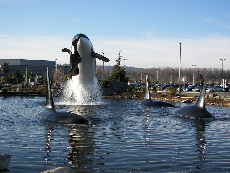 Tulalip, WA: Orca Whale Display Fountain adorning the parking lot at Tulalip Casino