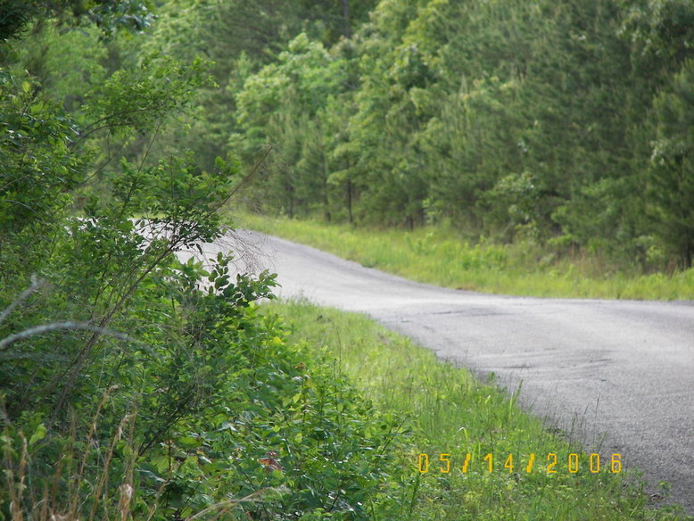 Selmer, TN : Warren Floyd Road