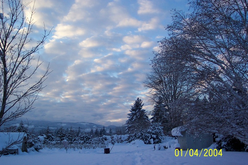 Hood River, OR : Sunbreak after the Winter Storm