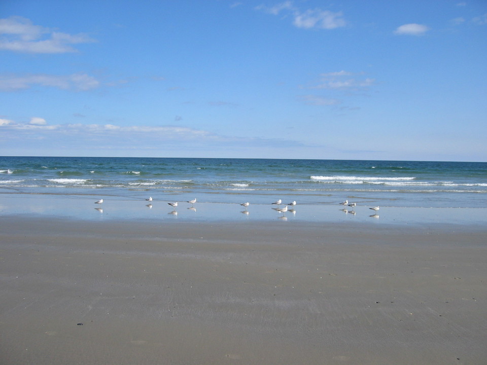 Narragansett Pier, RI : Narragansett Town Beach