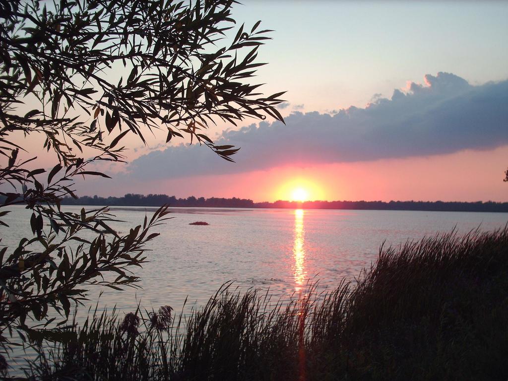Greece, NY : pic was taken on edgemere dr  and buck pond looking SW