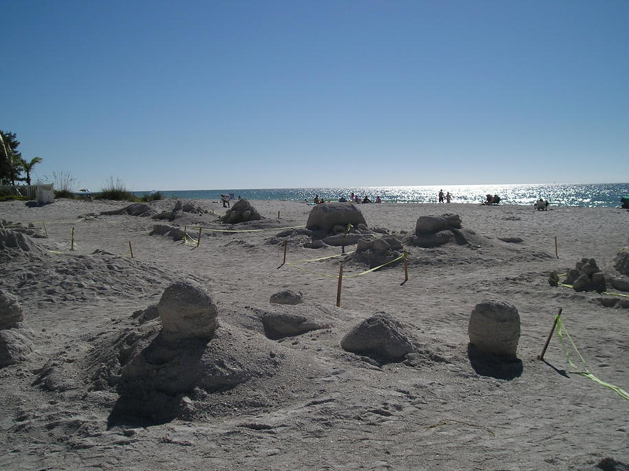 Bradenton, FL : Sand castles at Bradenton