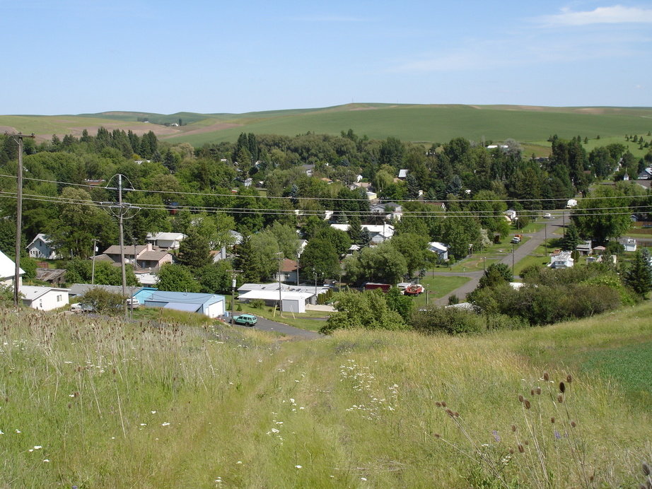 Albion, WA: looking southest over the town of Albion from a nearby hilltop