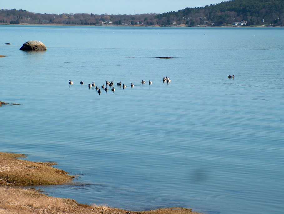 Kingston, MA : Kingston waters photo, picture, image (Massachusetts) at