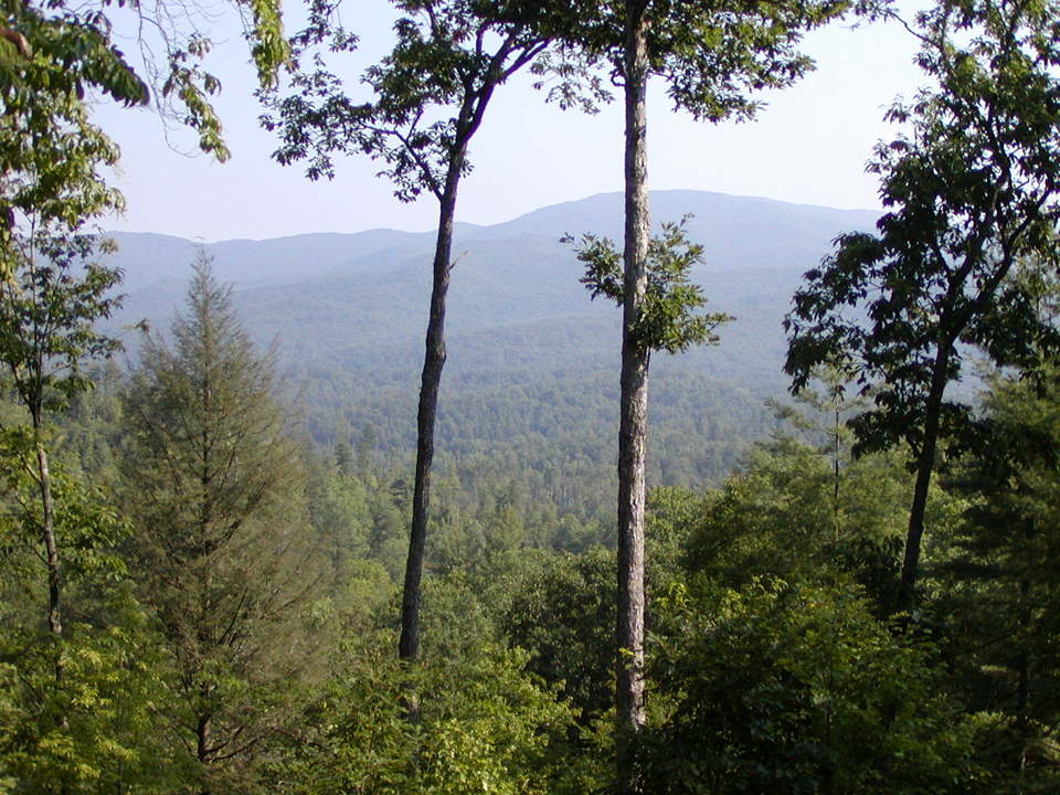 Murphy, NC: View from back porch of a friends' cabin in Murphy