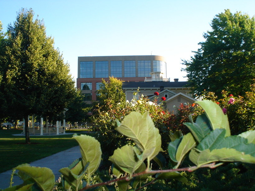 Vancouver, WA : rose garden