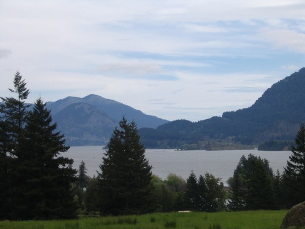 Stevenson, WA : Columbia view from Skamania Lodge