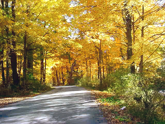 New Castle, PA : Ferris Road