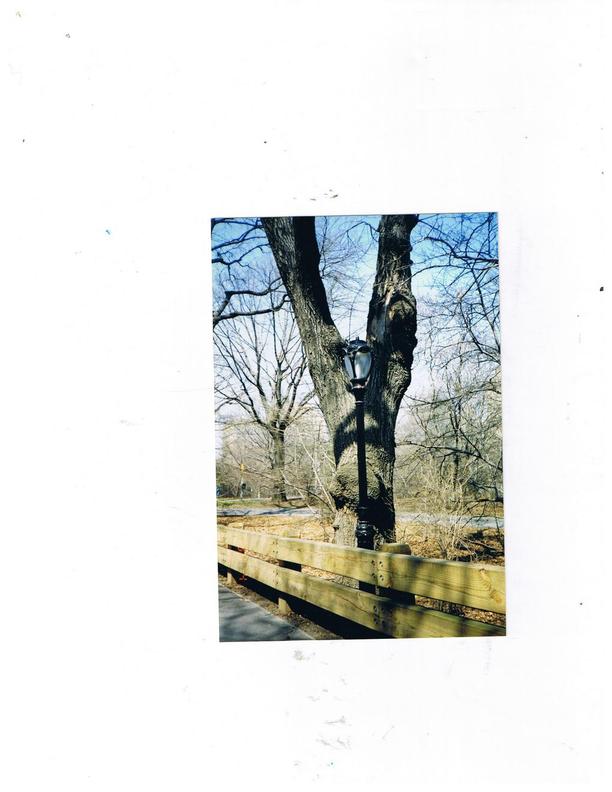 Manhattan, NY : NYC TREE LIGHTER (BIG PEACE'fingers') by ELM