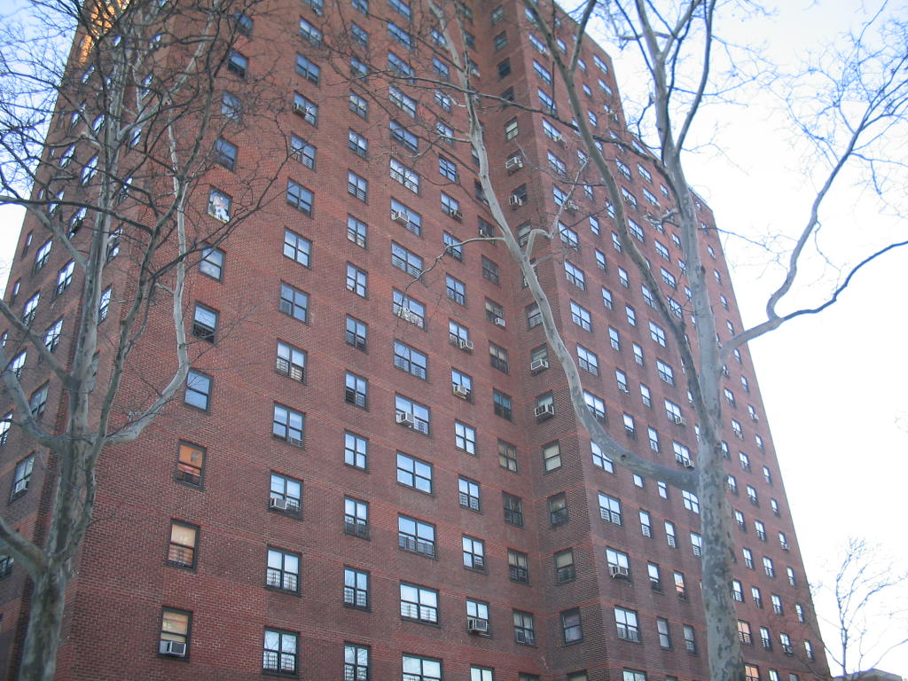 Manhattan Ny Nyc Tree Apartments House By Elm Photo