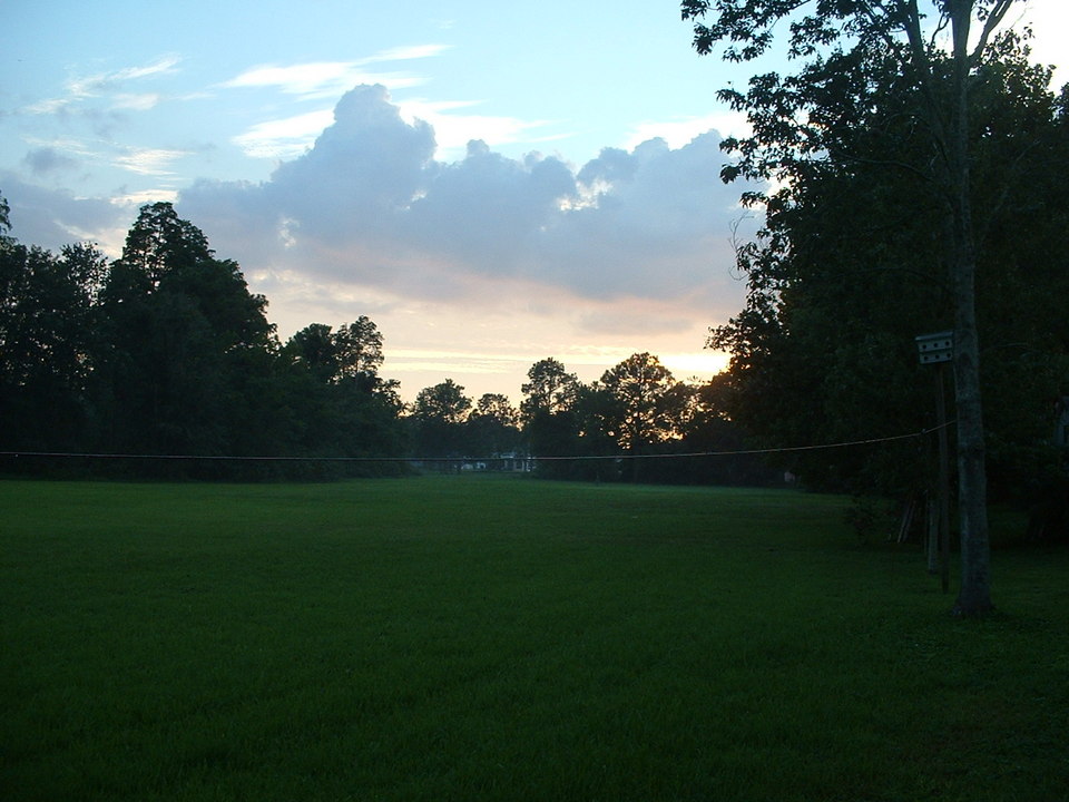 Holiday, FL: Cypress Lake Park at dusk