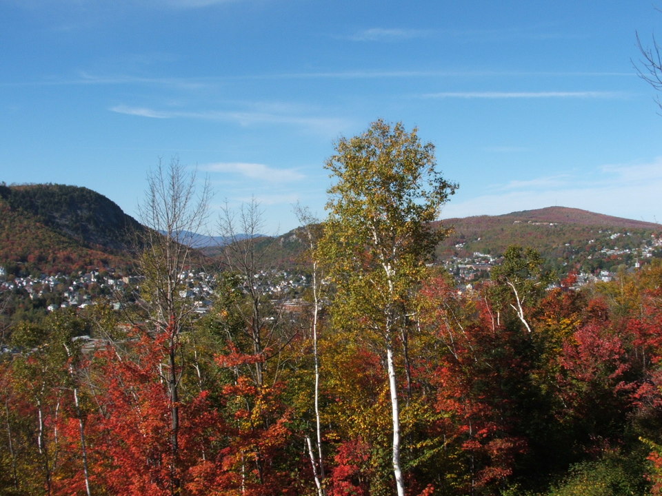 Berlin, NH : Fall Leaves falling over Berlin