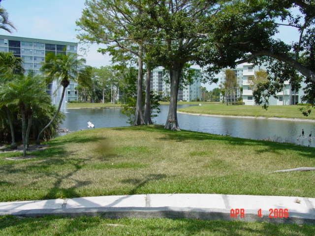 Pompano Beach, FL: Imagine a backyard like this. It's possible to buy or rent!