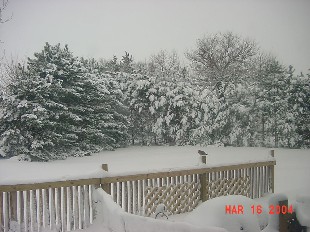Fruitland, IA : A Snowy Winter Day in Fruitland