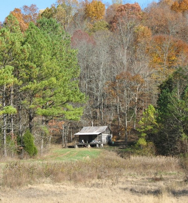 Elkmont, AL : Old relic cabin