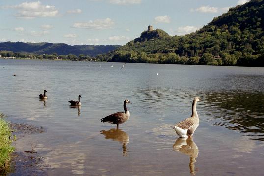 Winona, MN : Surgar Loaf and Lake Winona