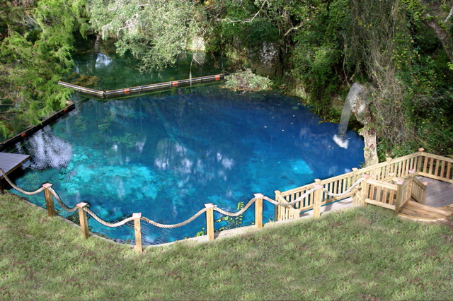 Williston, FL : Blue Grotto Springs