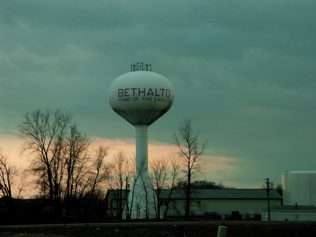 Bethalto, IL: I didn't see any eagles... just scads of starlings. ;-)