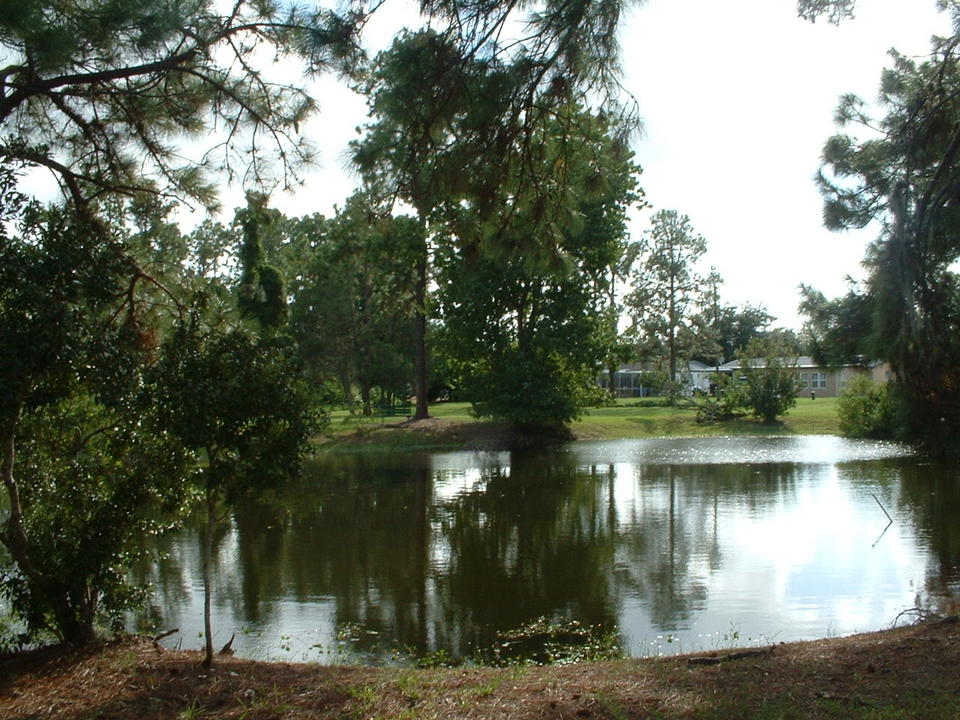 Holiday, FL : Cypress Lake Park Pond