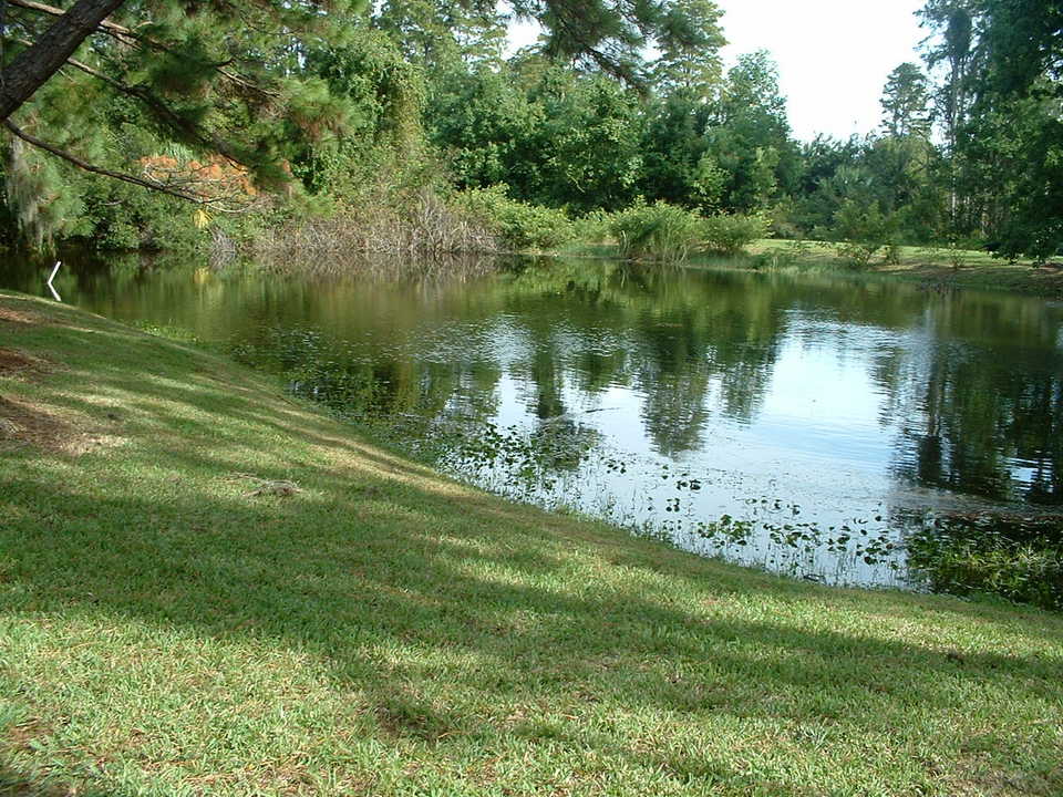 Holiday, FL : Cypress Lake Park Pond
