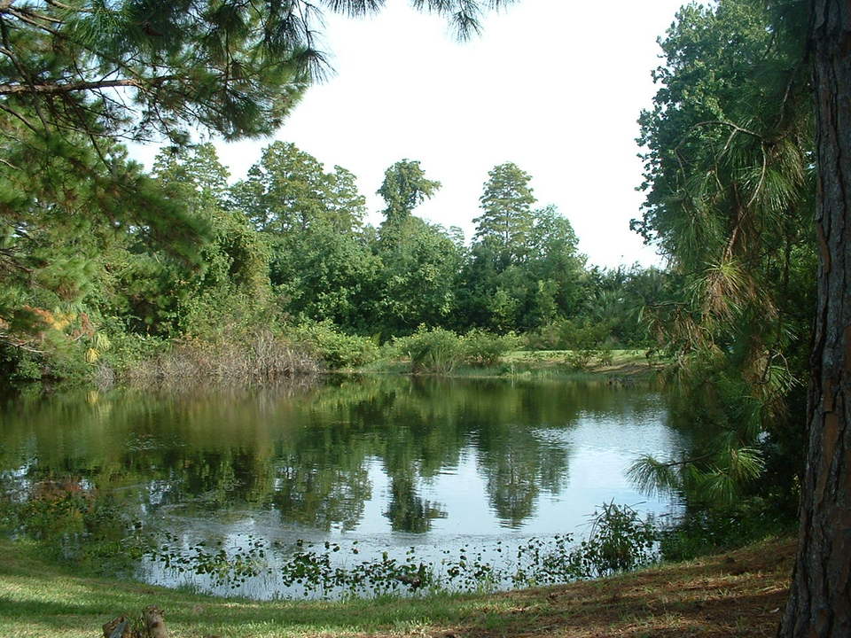 Holiday, FL : Cypress Lake Park Pond