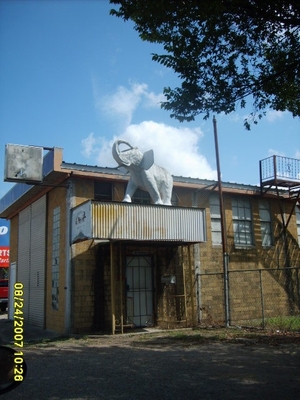 Taylor, TX: Elephant on building in Taylor, Texas has been there since the mid 1950's