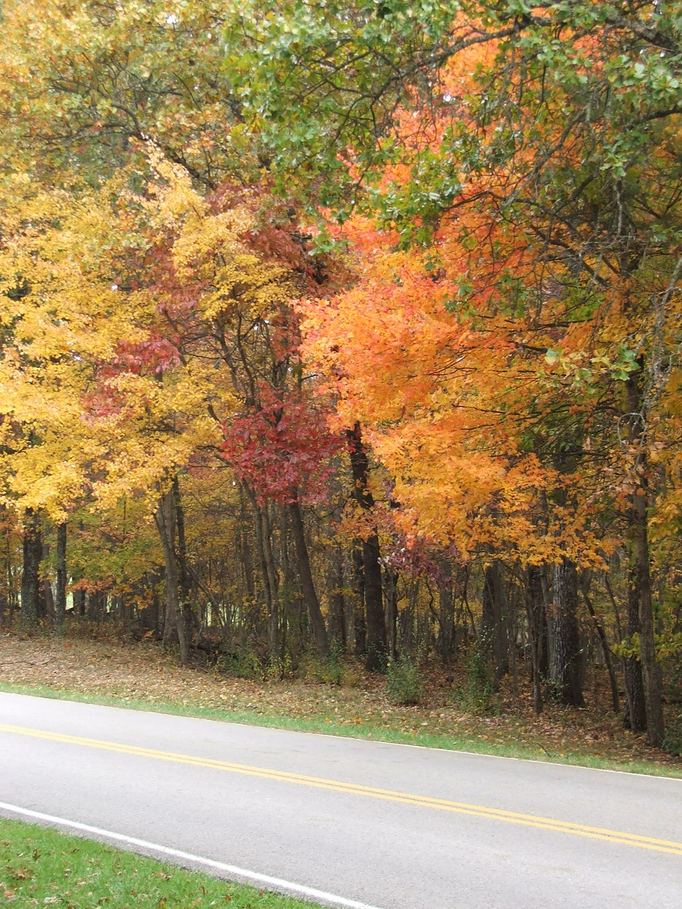 Spencer, TN : A Drive in the Park