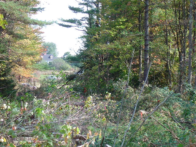 Buxton, ME : Haines Meadow Road