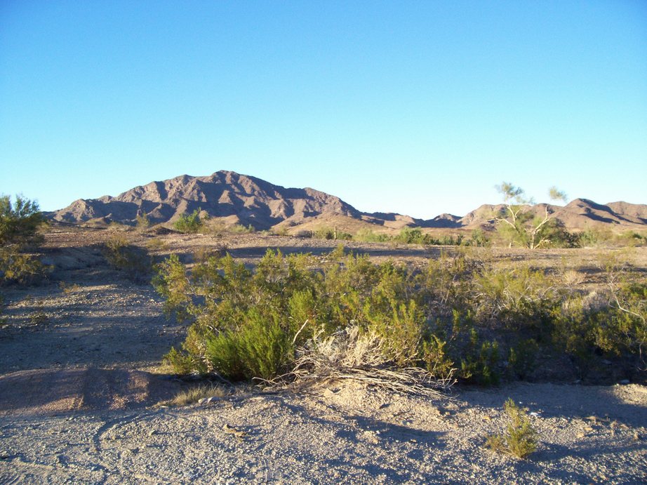 Quartzsite, AZ: Quartzsite's desert landscape