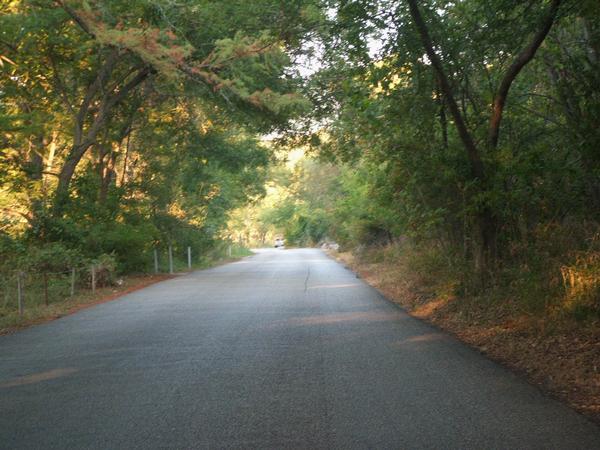 Wimberley, TX : Scenic road in Wimberley Texas