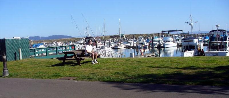 Ilwaco, WA : Marina in Ilwaco