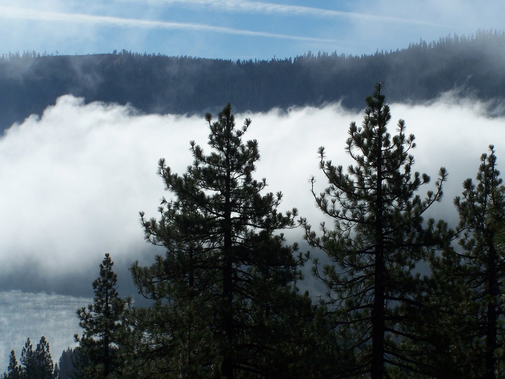 Truckee, CA: Donner Lake 2