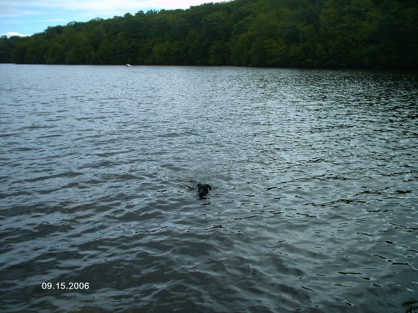 Rockaway, NJ: Split Rock Reservior